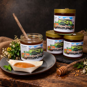 Stanzel Bienenhonig aus Grünhainichen aus dem Erzgebirge